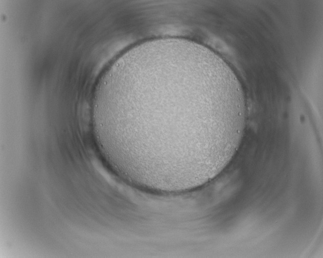 X0000060750012200511241715