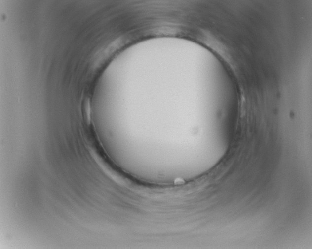 X0000060750013200511241715