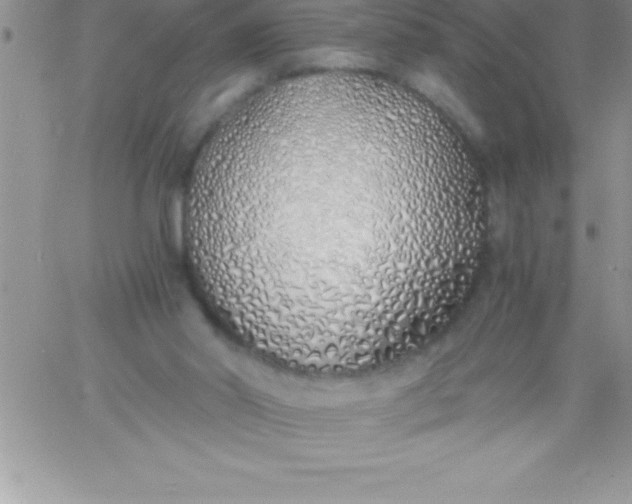 X0000060750014200511241715