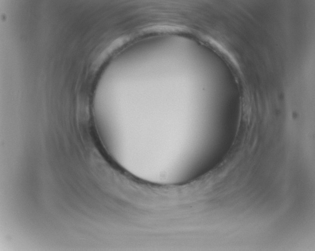 X0000060750015200511241715