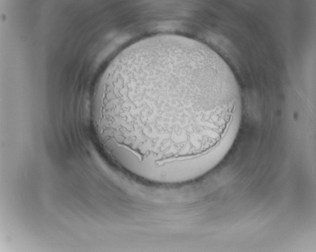 X0000060750016200511241715