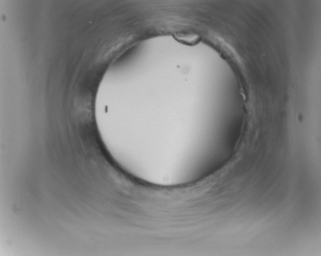 X0000060750017200511241715