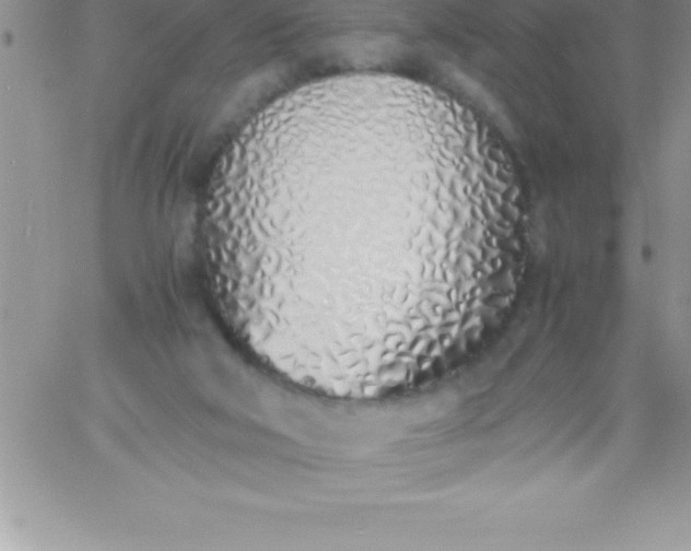 X0000060750018200511241715