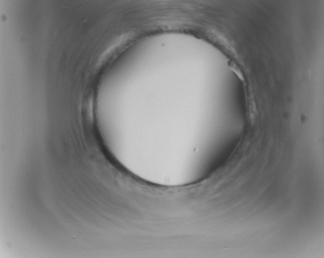 X0000060750019200511241715