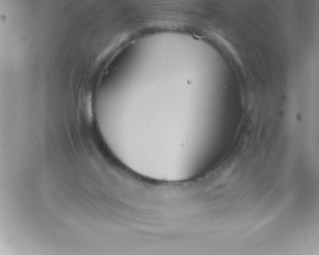 X0000060750020200511241714