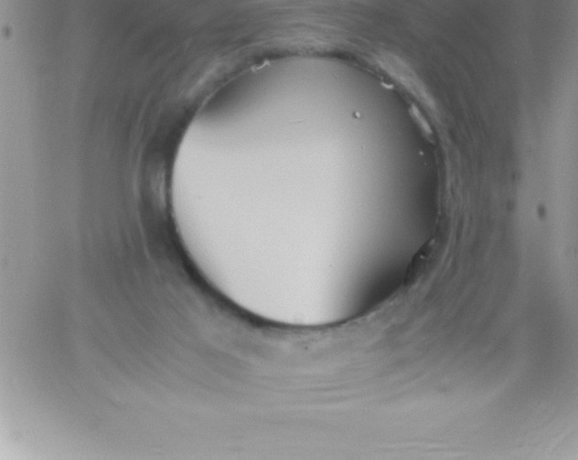 X0000060750021200511241714