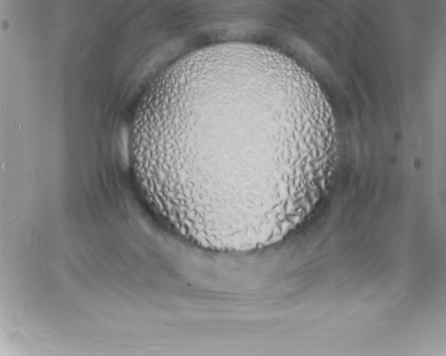 X0000060750022200511241714