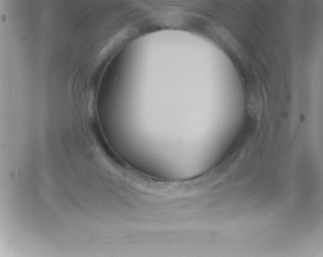 X0000060750023200511241714