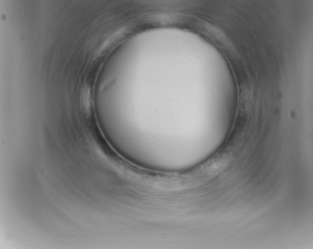 X0000060750024200511241714