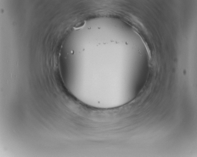 X0000060750025200511241714