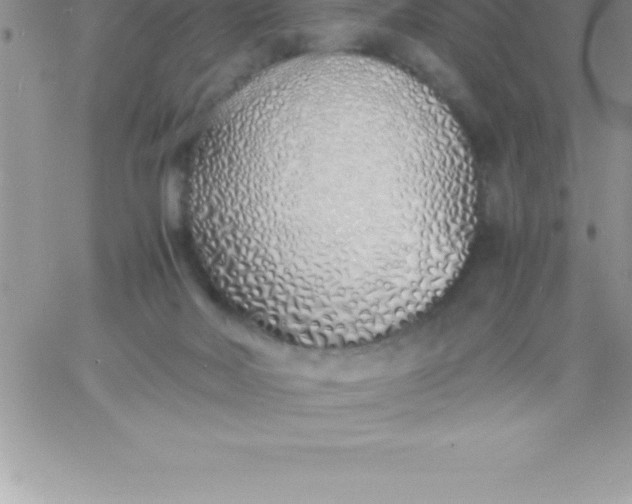 X0000060750026200511241714