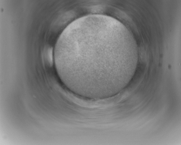 X0000060750028200511241714