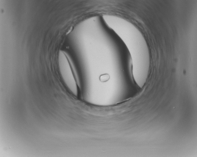 X0000060750029200511241714