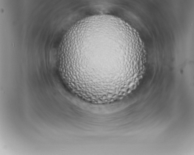 X0000060750030200511241714