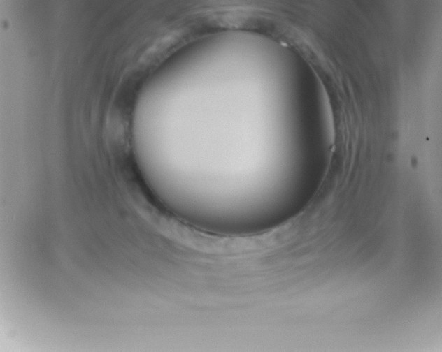 X0000060750031200511241714