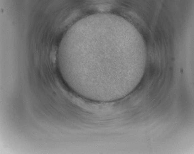 X0000060750032200511241714