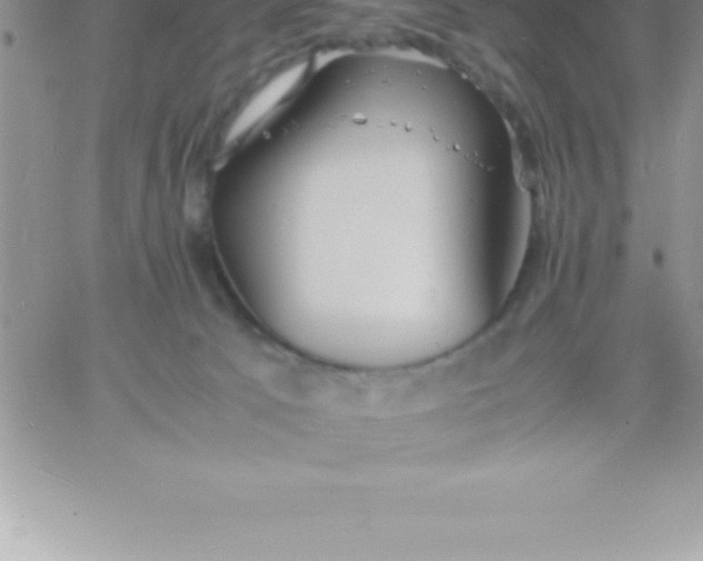 X0000060750033200511241714