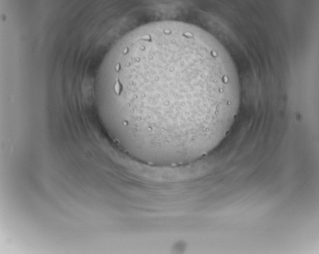 X0000060750034200511241714