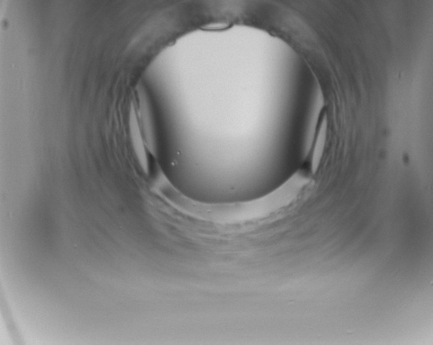 X0000060750037200511241714