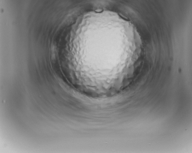 X0000060750038200511241714