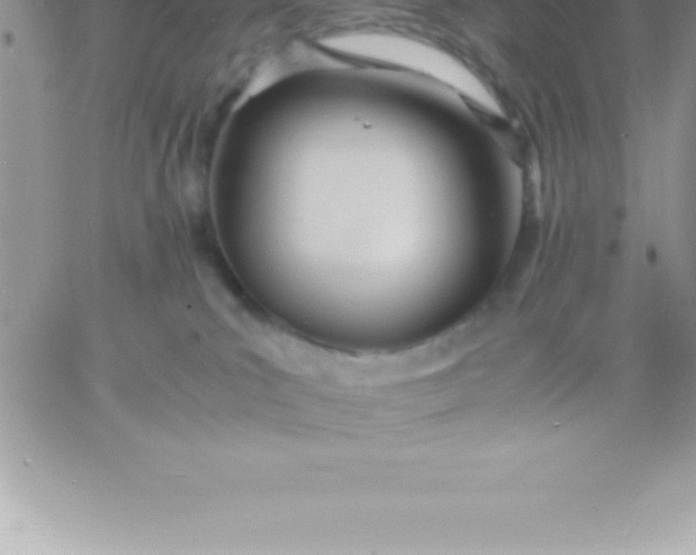 X0000060750039200511241714