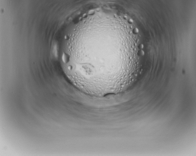 X0000060750042200511241714