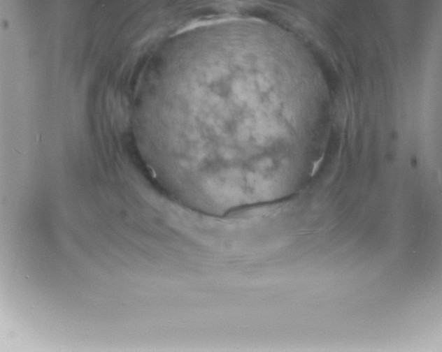 X0000060750043200511241714