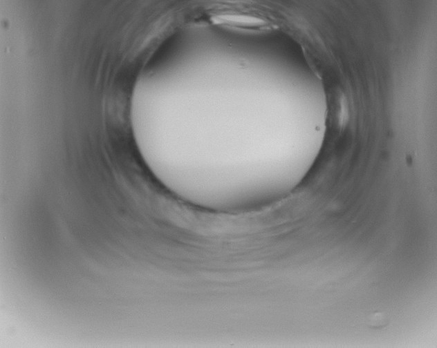 X0000060750044200511241714