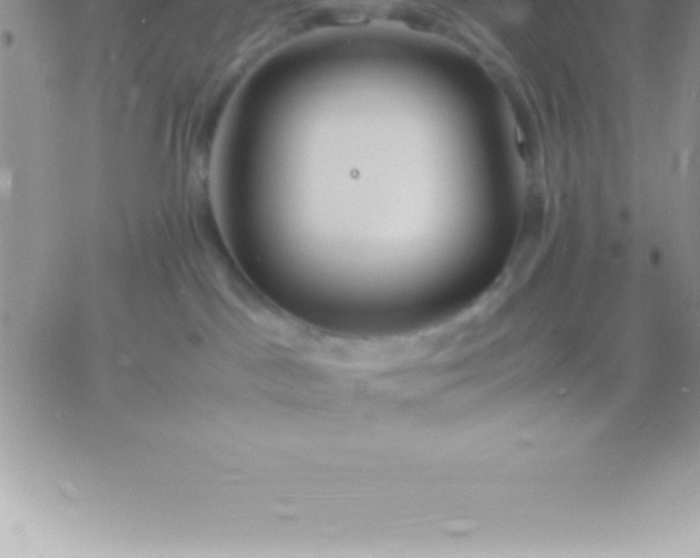 X0000060750045200511241714