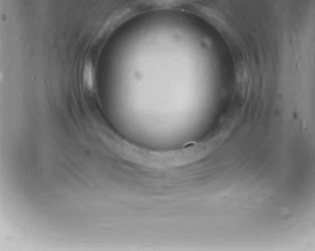 X0000060750046200511241714