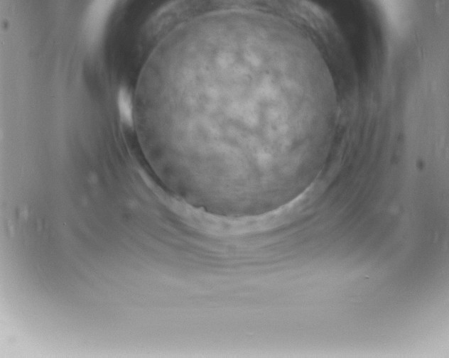 X0000060750047200511241714