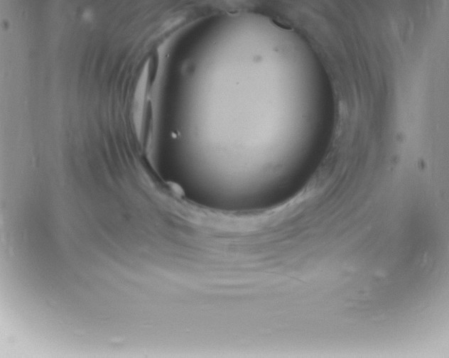 X0000060750048200511241714