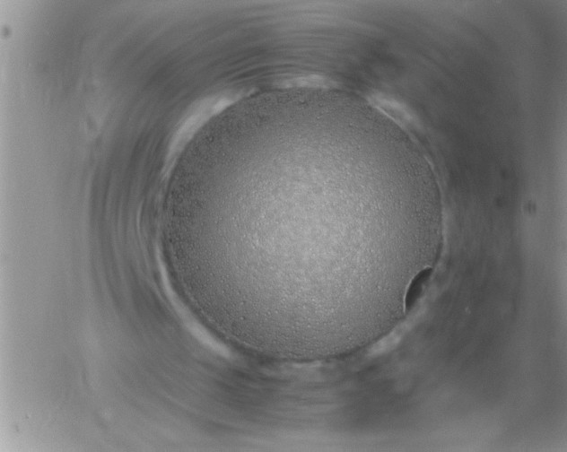 X0000060750049200511241713