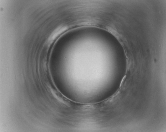 X0000060750050200511241713