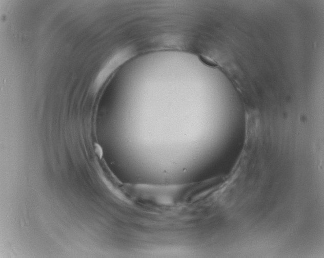 X0000060750051200511241713