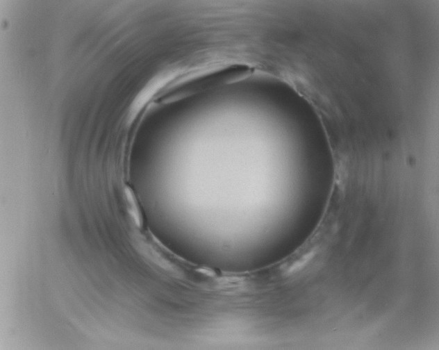 X0000060750052200511241713