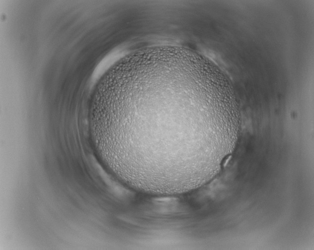 X0000060750053200511241713