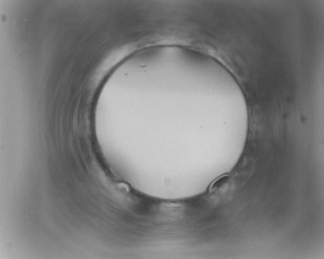 X0000060750055200511241713