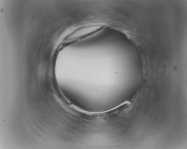 X0000060750056200511241713