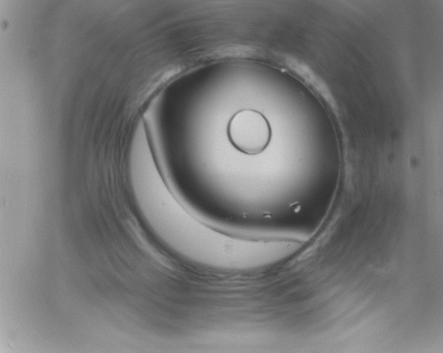 X0000060750057200511241713