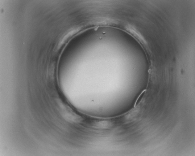 X0000060750058200511241713