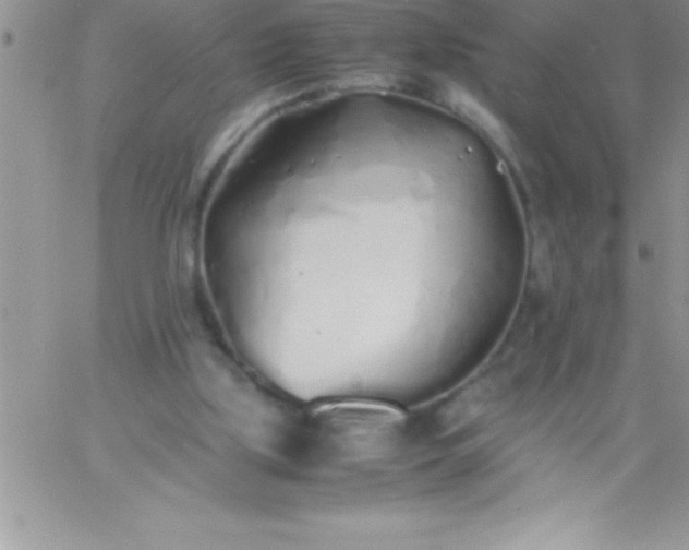 X0000060750059200511241713