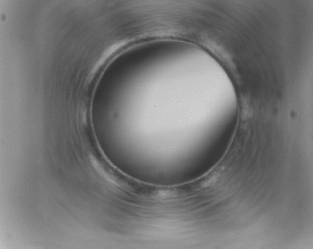 X0000060750060200511241713