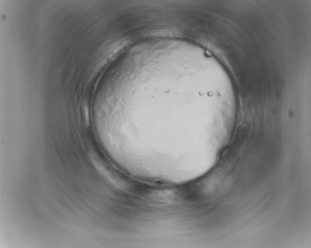 X0000060750061200511241713