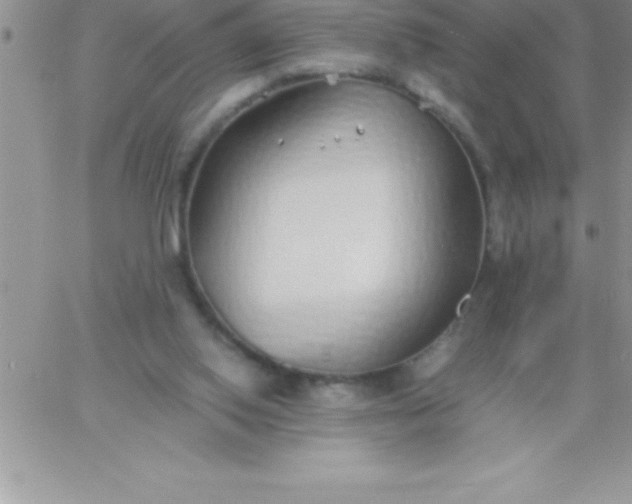 X0000060750062200511241713