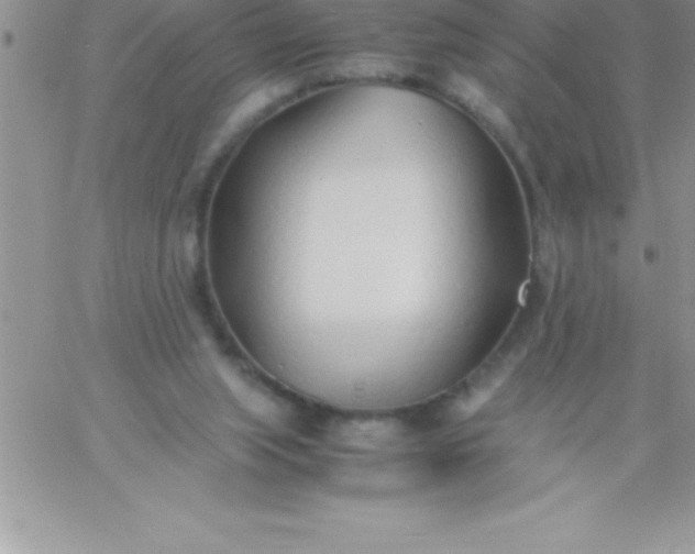 X0000060750063200511241713