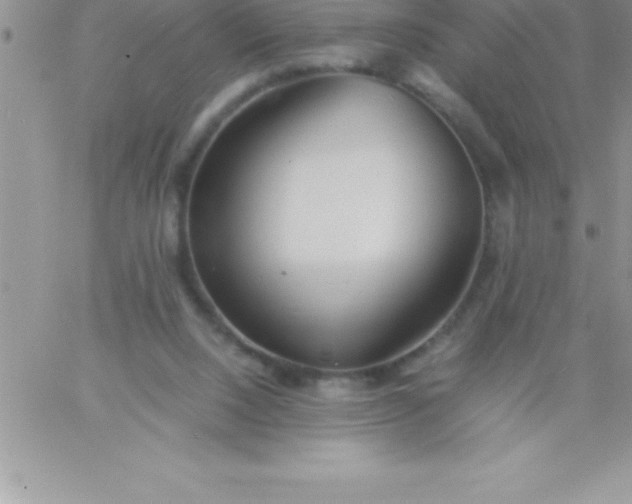 X0000060750064200511241713