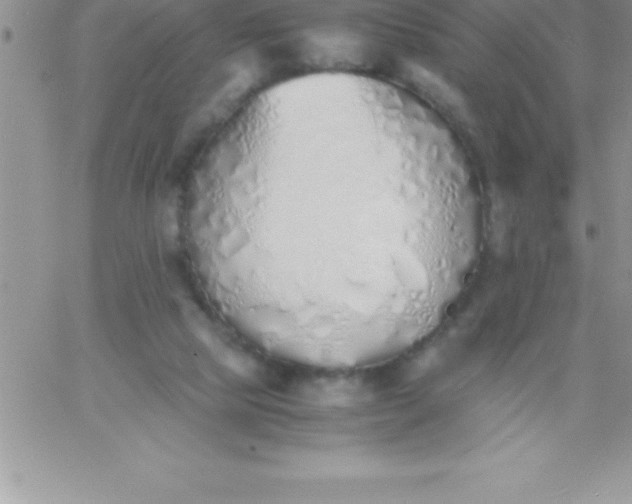 X0000060750065200511241714