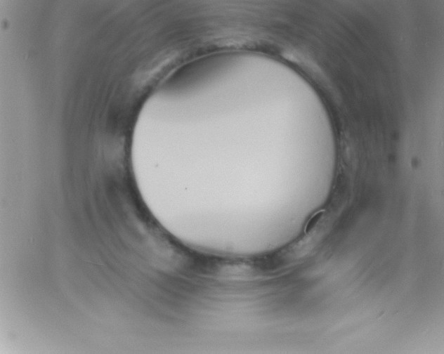 X0000060750066200511241714