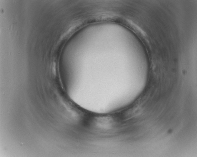 X0000060750067200511241714